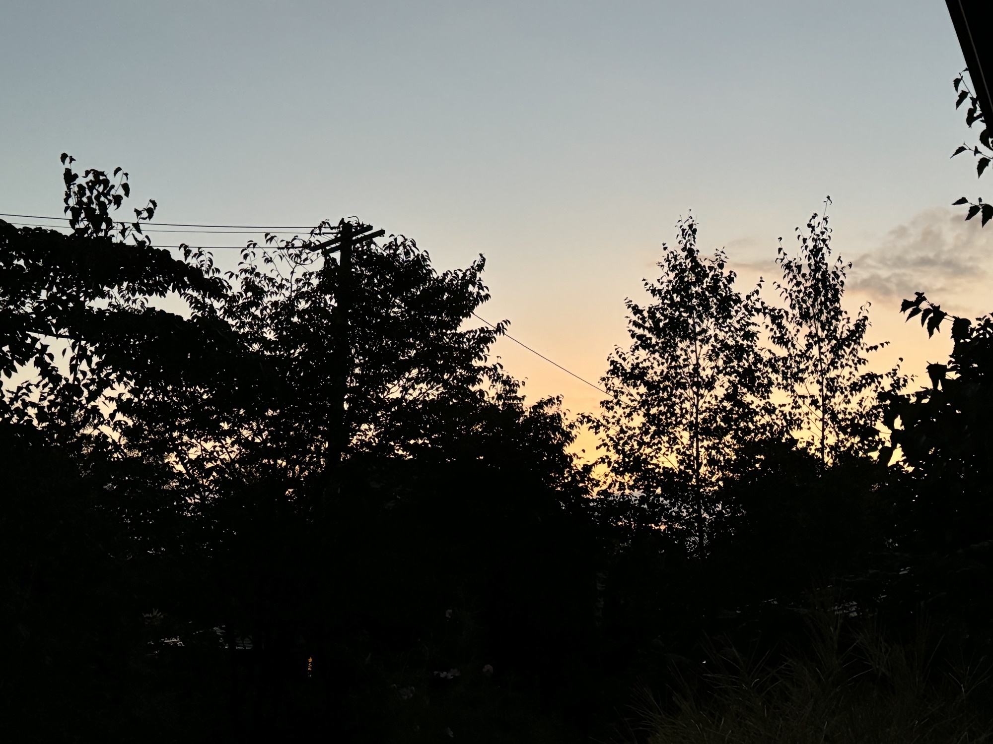 熊が出るんです