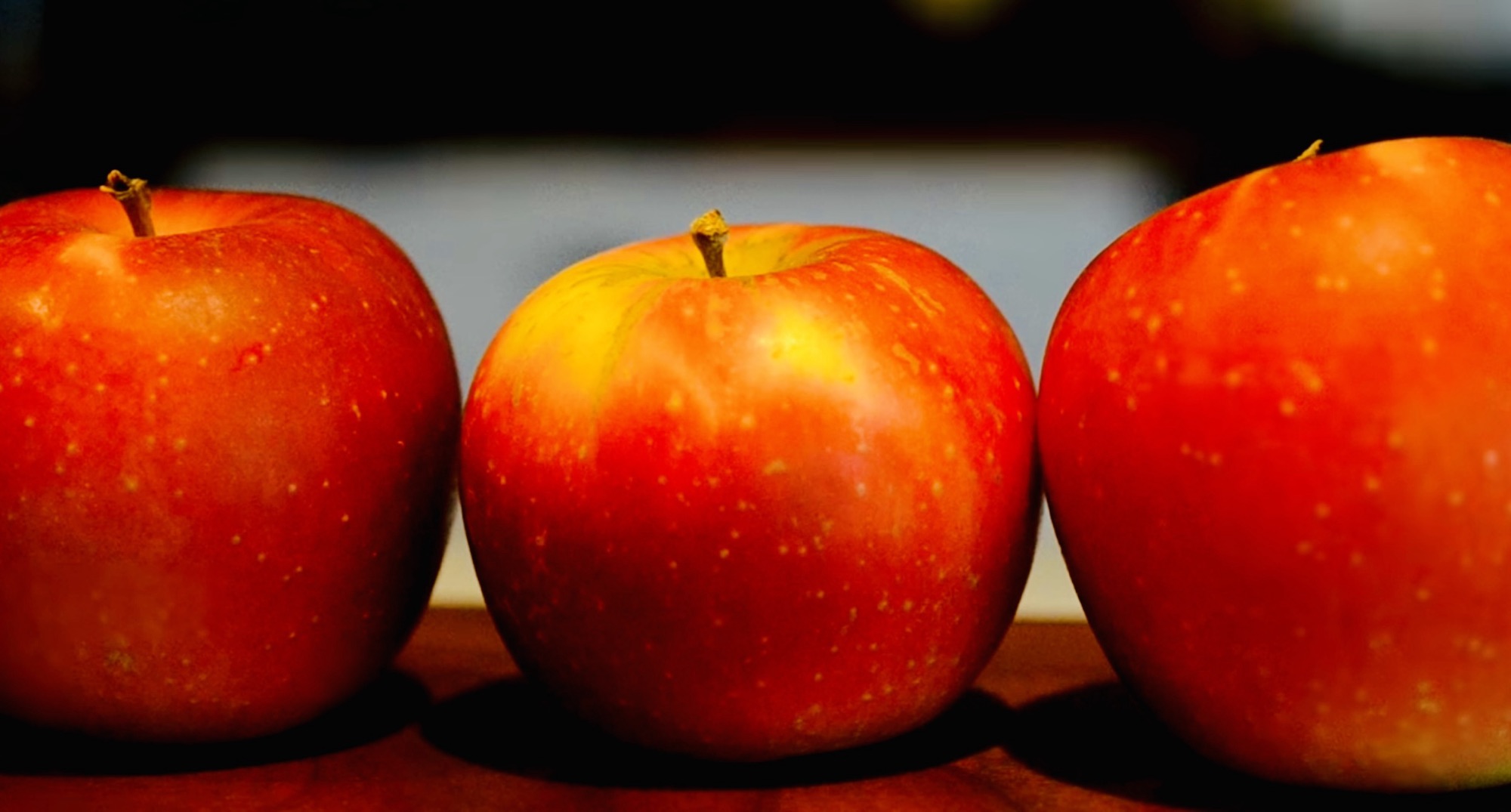 YouTube#49公開いたしました