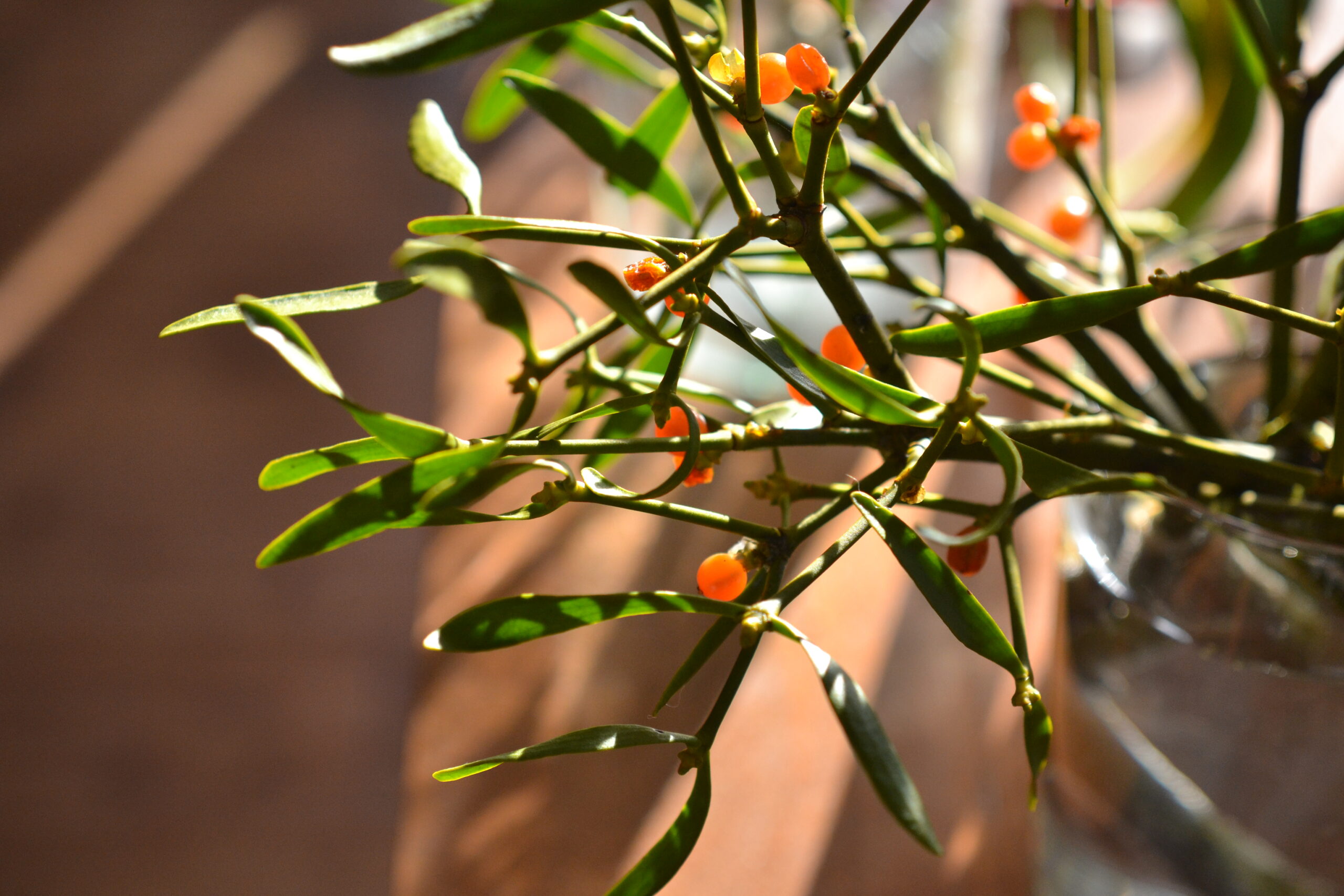 YouTube#52公開いたしました