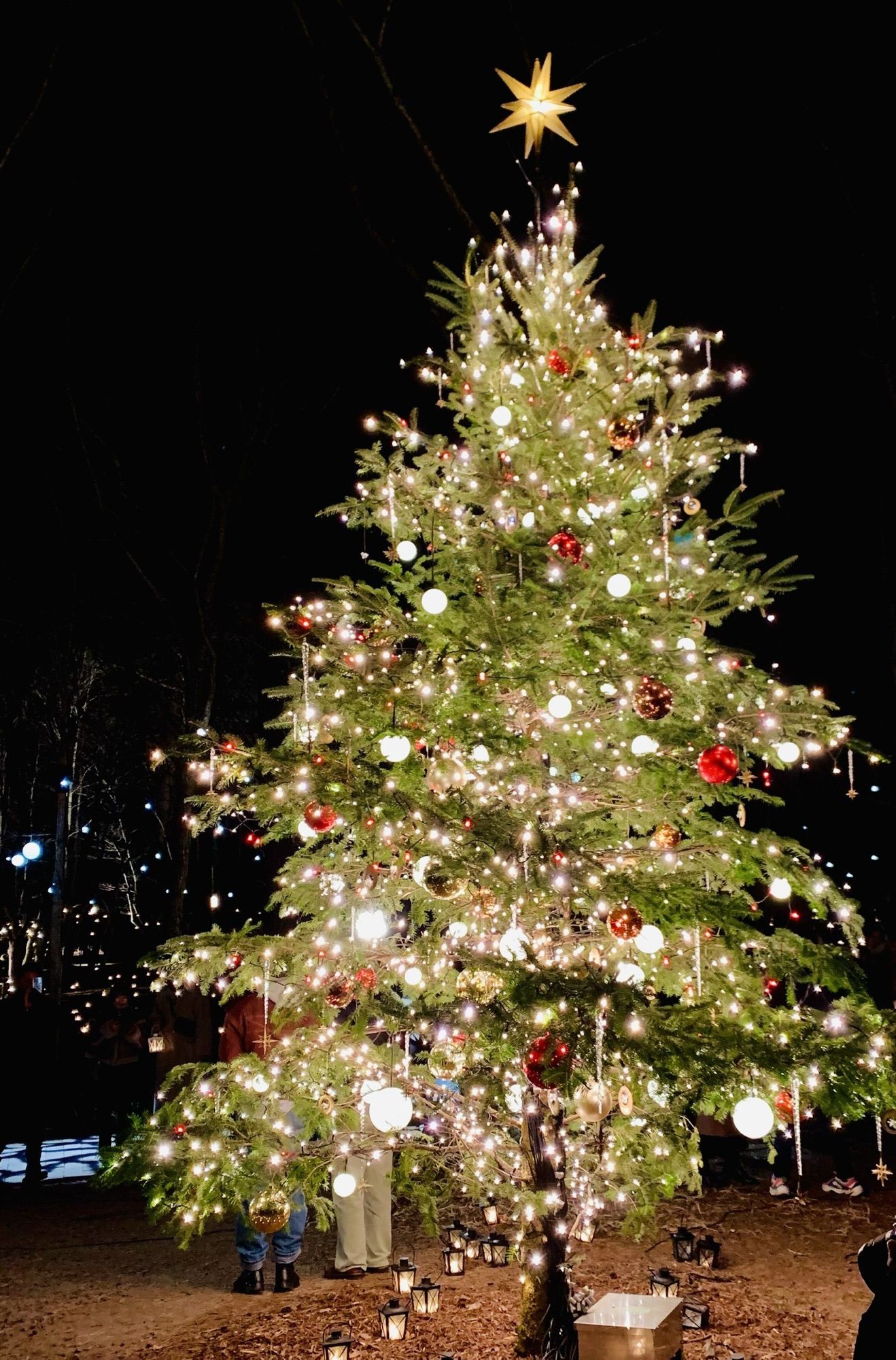 YouTube#51公開しました