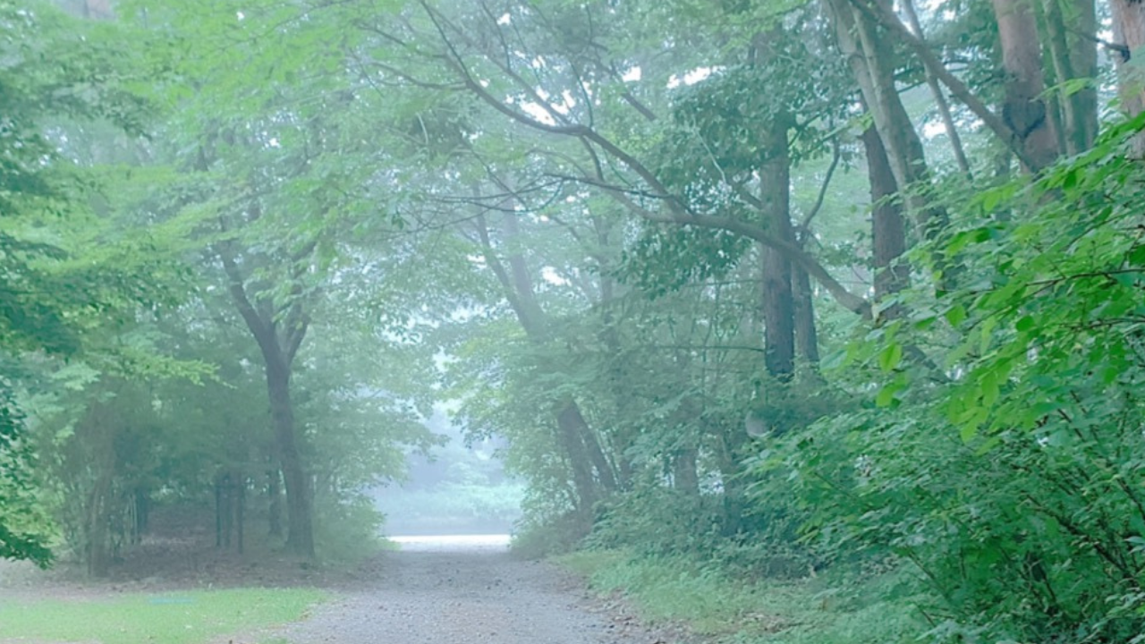 【noteはじめます】自己紹介とか（note）