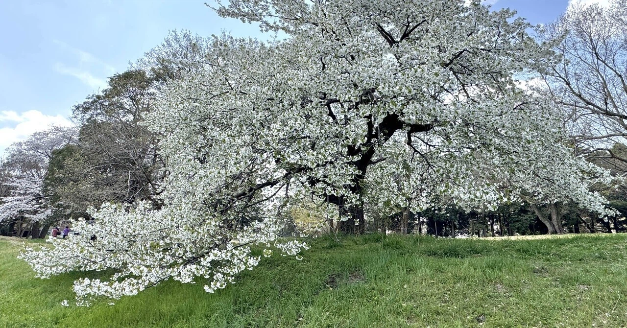 冷凍食品を冷蔵庫に入れたらそりゃ溶けるさ…(note)