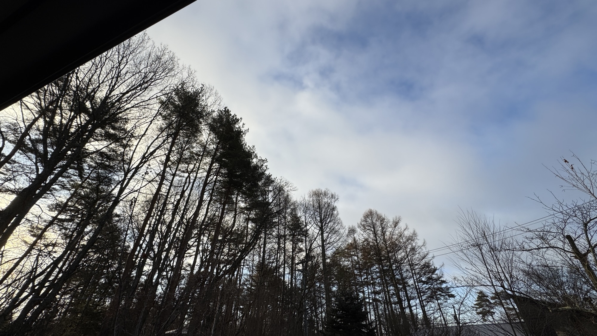 2026-1-17  つつむ と つなぐ〜 餃子の日