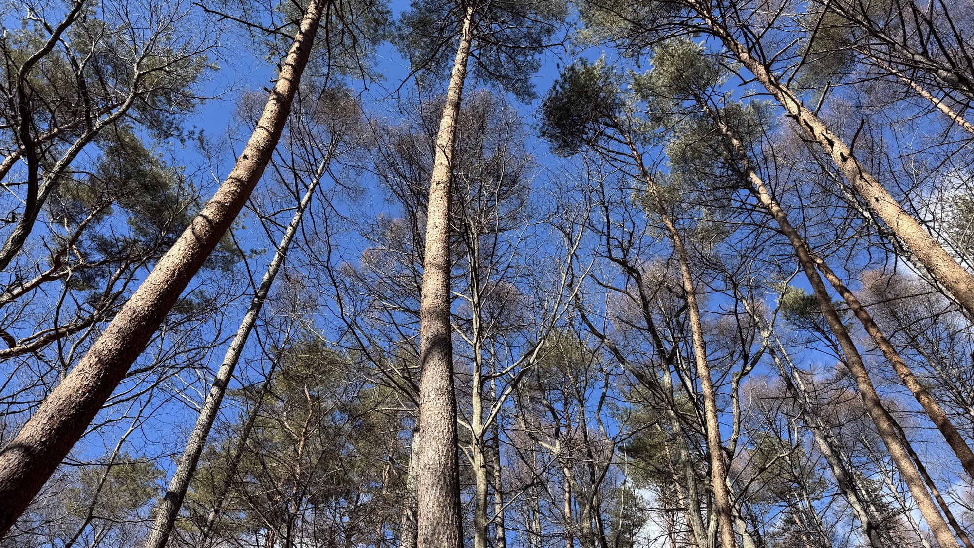 2026-2-1　境界線