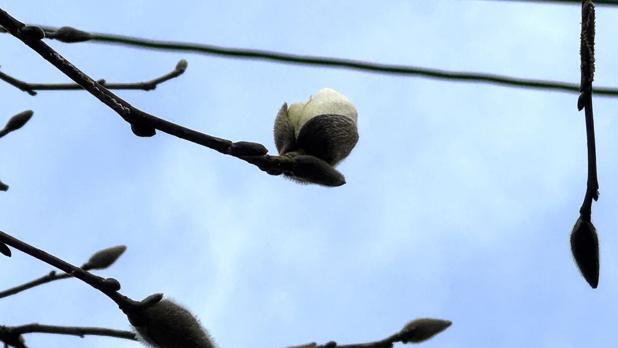 2026-2-10　鎮まる